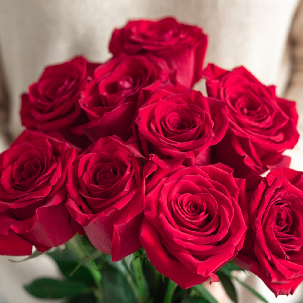 9 Rose Rosse da 70 cm –